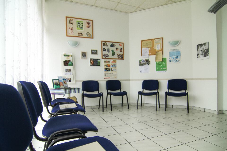 Wartezimmer der Tierarztpraxis